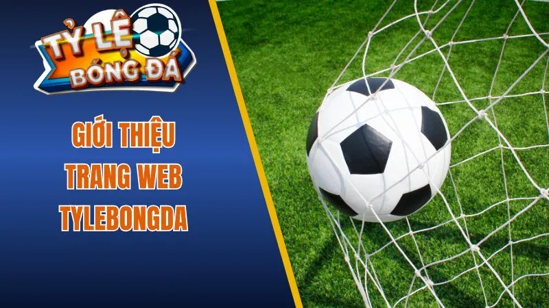 Giới thiệu trang web Tylebongda