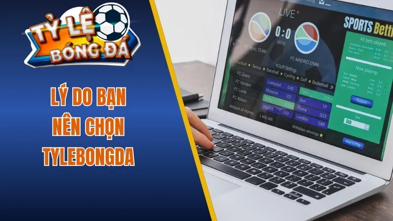 Lý do bạn nên chọn Tylebongda