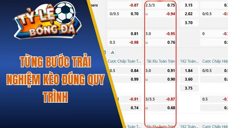 Từng bước trải nghiệm kèo đúng quy trình